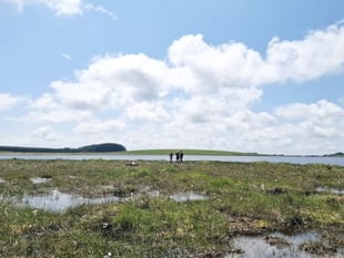 Nature returns to Crowdy reservoir