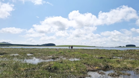 The restored peatland at Crowdy (Picture: South West Water)