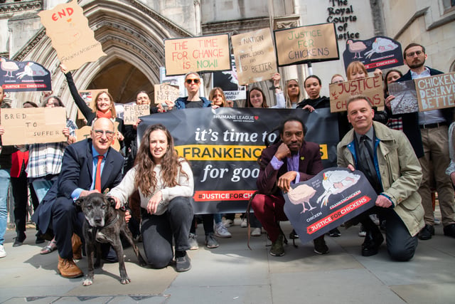 Campaign warns farmers on 'frankenchickens'