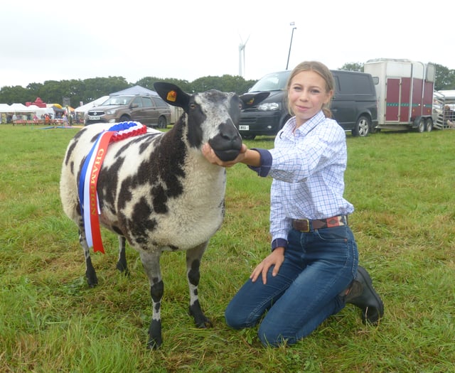 Launceston Show shines under damp grey skies