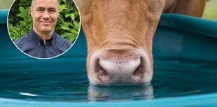 Clean water service set to boost dairy farm productivity