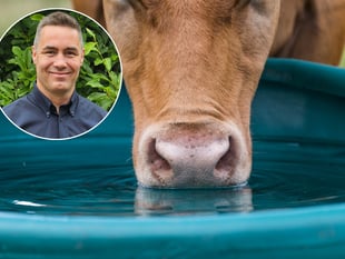 Clean water service set to boost dairy farm productivity