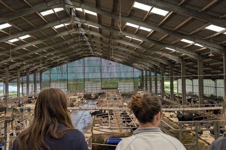 Some of those hoping for a future as a farm vet on a visit during the Penbode Vets taster day. (Picture: Penbode Vets)