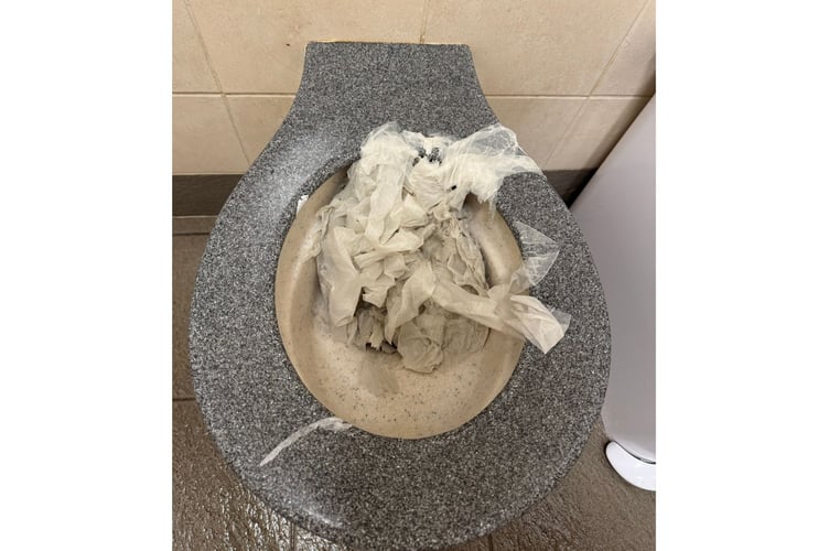 Callington Town Council have hit out at vandals who caused flooding and unnecessary repair costs to toilets within the town (Picture: Callington Town Council)