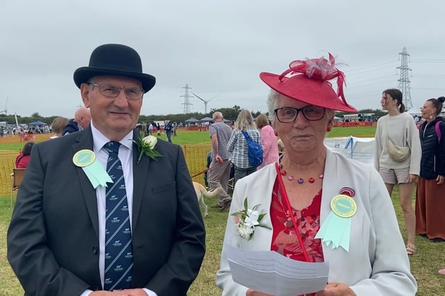 Highlights from today's Camelford Show
