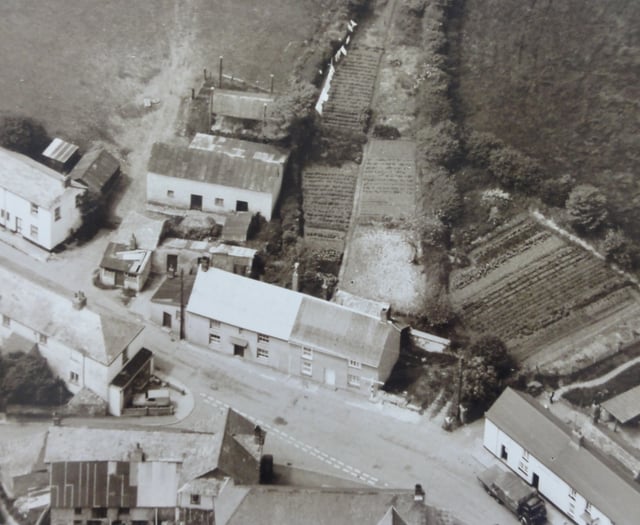 Looking Back: Take a trip down memory lane thanks to our archives