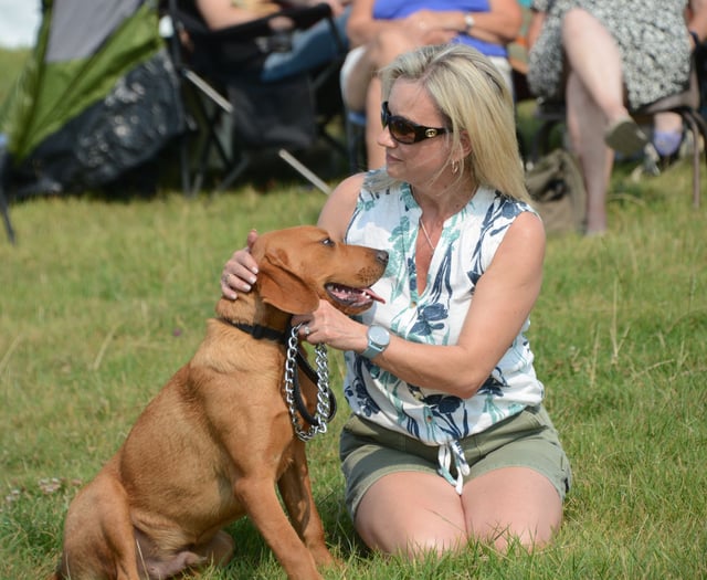 Show draws larger crowds and entries