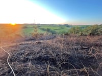 Blaze tackled by six fire stations overnight