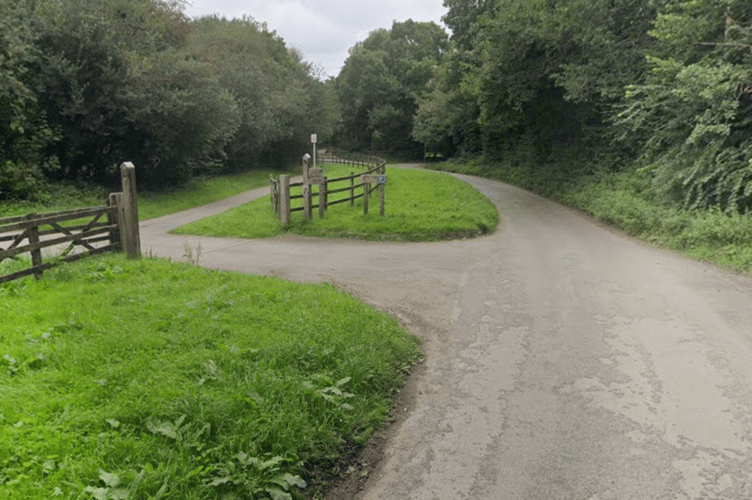 The road adjacent to Poley's Bridge near St Breward. (Picture: Google)