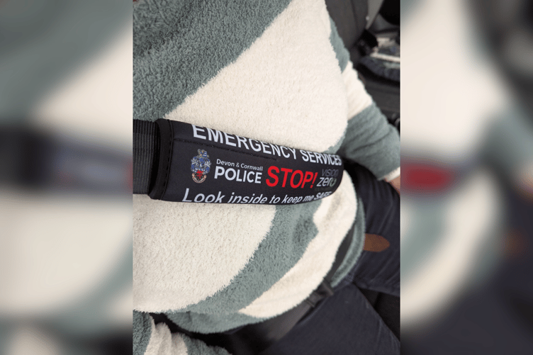 Devon and Cornwall Police Seatbelts