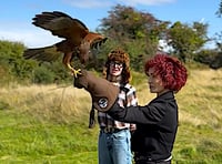 Sharon and Kelly Osbourne find solace in falconry