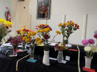Community news from across North Cornwall and Torridge