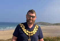 Party leader jumps ship after controversial call