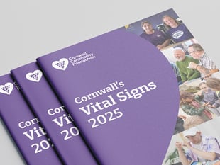 Vital signs report exposes Cornwall's crisis