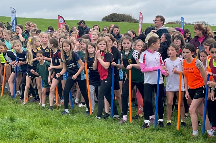 Ready, Set, Go - the Year 5/6 Girls race is about to start