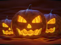 Torridge District Council issues Hallowe'en waste advice