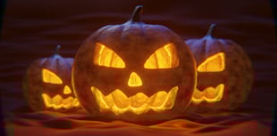 Torridge District Council issues Hallowe'en waste advice