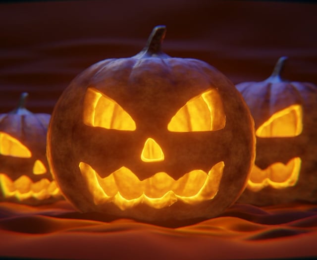 Torridge District Council issues Hallowe'en waste advice