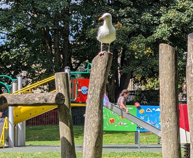 Investigation launched after vandal covers Bodmin play park in diesel