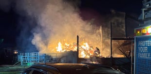 Cattle rescued as firefighters battle major barn fire 