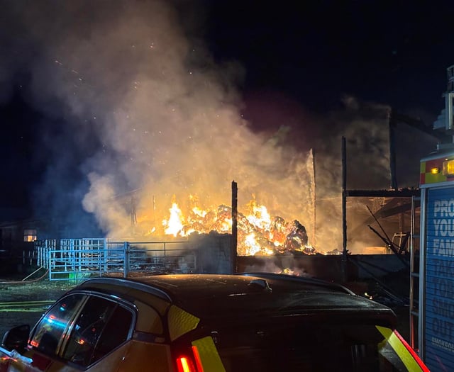 Cattle rescued as firefighters battle major barn fire 