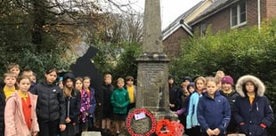 Schools unite for remembrance