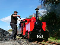 A dream job? Popular attraction looking for train driver 