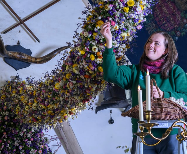 Cotehele marks festive season with record floral display