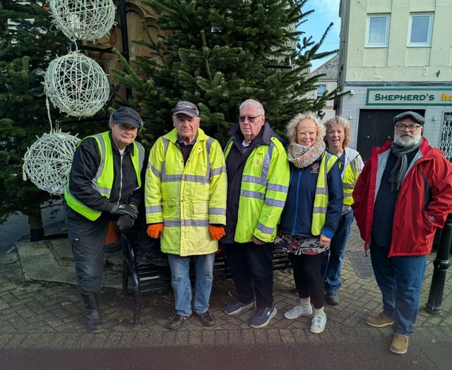 Lions help make town sparkle