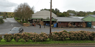 Garden centre brightens up Christmas for local hospice