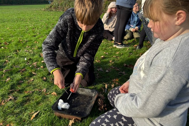 Students embrace outdoors for adventure day