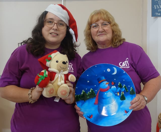 Cat's Protection kick off festive season early