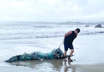 Ghost fishing gear washed up on beaches in Cornwall being turned into gifts