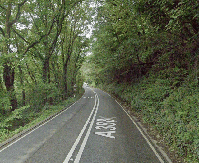 Launceston driver arrested after crashing into tree