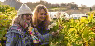 Eden Project unveils plan to boost mental health through nature