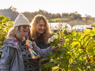 Eden Project unveils plan to boost mental health through nature