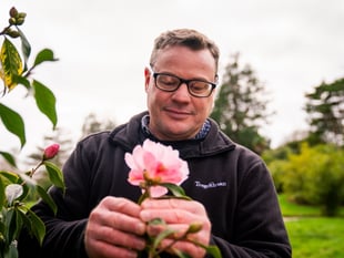 Cornish estate reports record winter bloom count amid warming climate