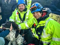 Coastguard heroes rescue dog stranded on 100-foot cliff