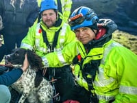 Coastguard heroes rescue dog stranded on 100-foot cliff
