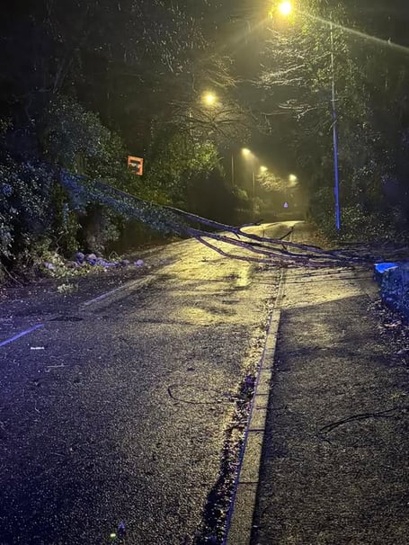 Tree down in Liskeard