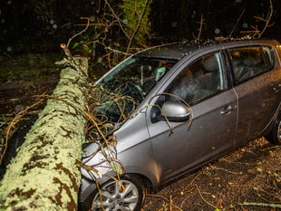 LIVE: Cleanup begins in Cornwall in aftermath of Storm Goretti