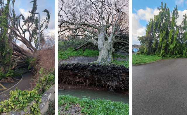 Residents asked to avoid travel 