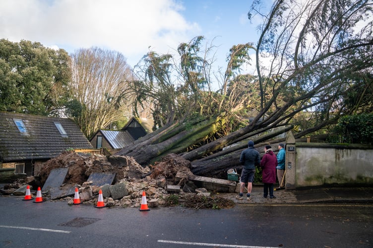 Two large trees have fallen on a house in Truro, breaking through the roof and crushing three cars