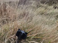 Walker finds unexploded missile on Willsworthy firing range