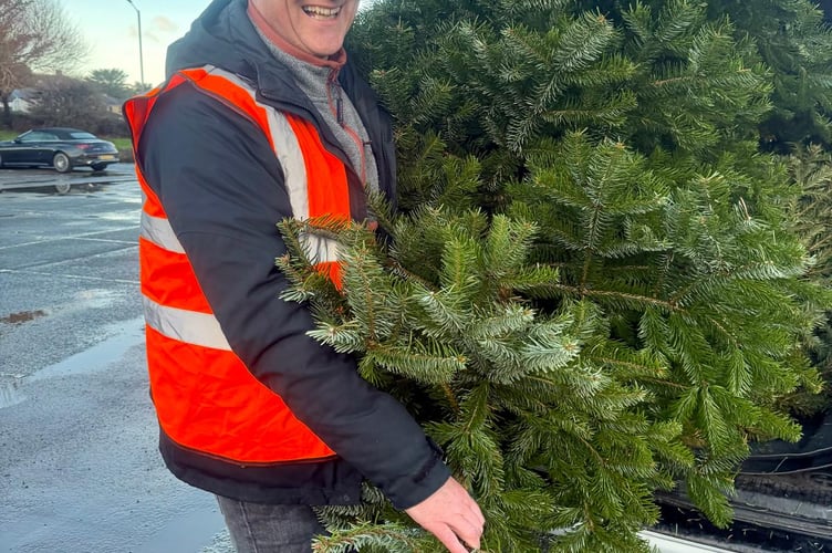 Talan's Trust Bude Christmas Tree Collection