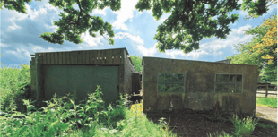 Planning: Horse arena seeks retrospective permission to continue use