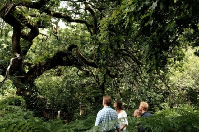 Bodmin Moor project is celebrated on global stage