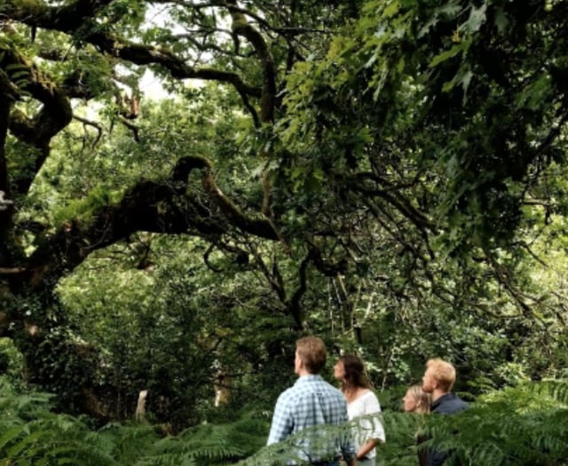 Bodmin Moor project is celebrated on global stage