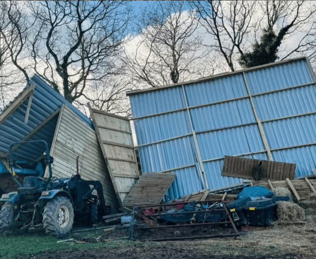 Equine therapy centre seeks support after storm devastates barn