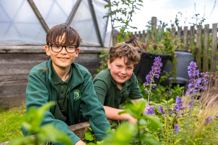 Youngsters at Lostwithiel Primary School learning about gardening.